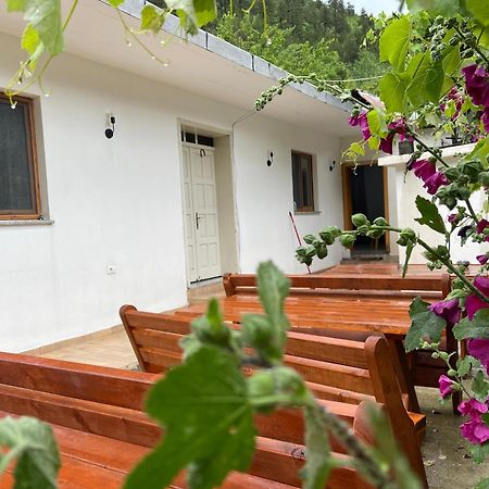 Thethi Mountain Hotel Exterior photo